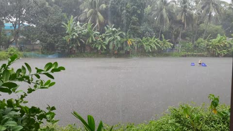 Rainy day