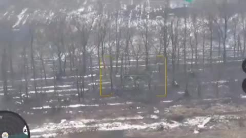 Ukrainian Shelling Takes Out Entire Group in the Treeline