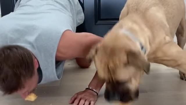 Dog and man challenge video funny video