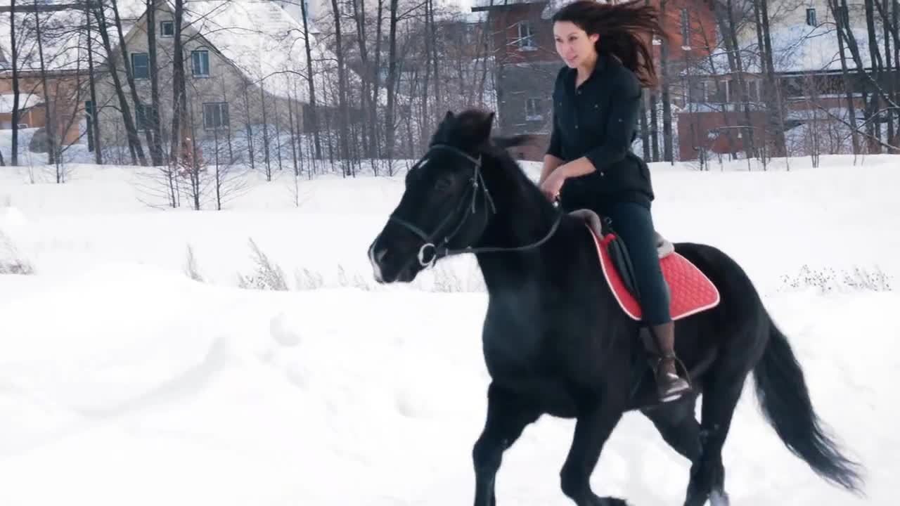 Attractive longhaired female rider riding a black horse through the drifts in the winter field