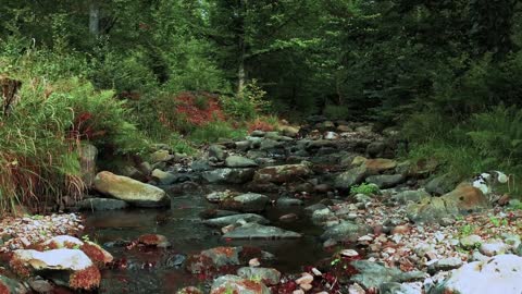 River And Mountains at Its Beauty