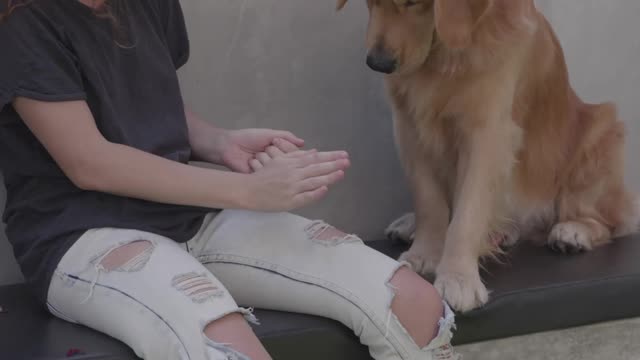 Amazing Best Woman Training a Dog