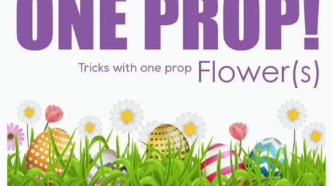 AURORA One Prop 20:1 Flower(s)