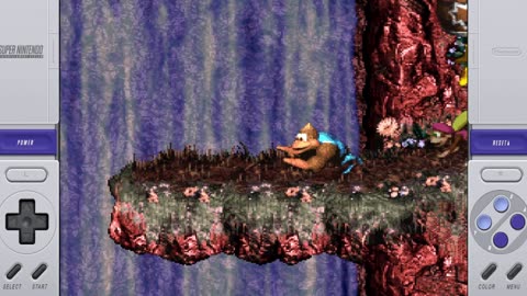 Donkey Kong Country 3 - Dixie Kong's Double Trouble! - Snes #5