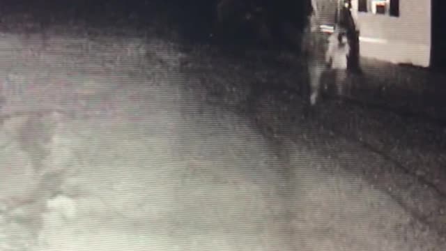 Sunday June 02, 2021 - #33