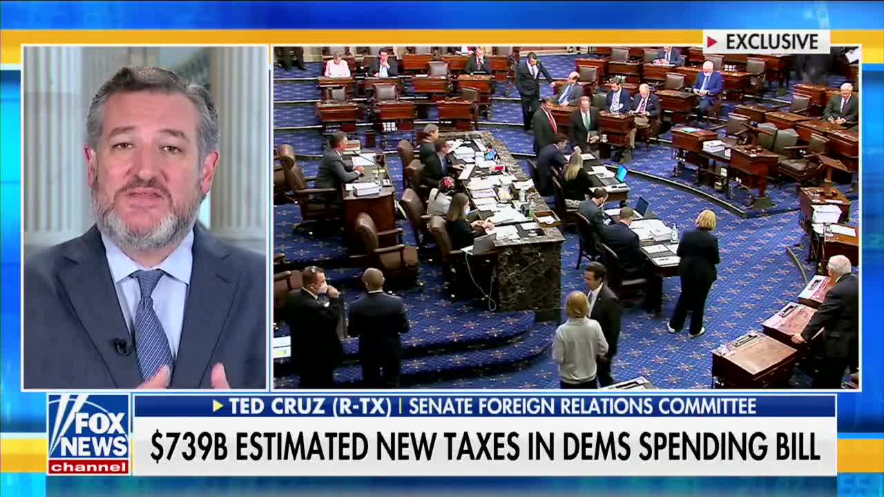 Ted Cruz Demolishes Biden's "Inflation Reduction" Act For Doubling The Size Of The IRS
