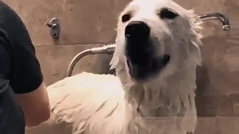 I'm so happy to take a bath.