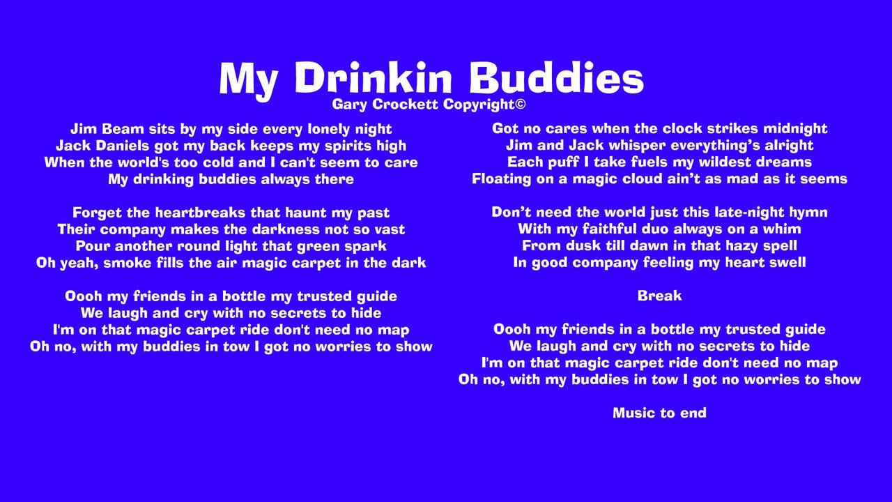 My Drinkin Buddies Song