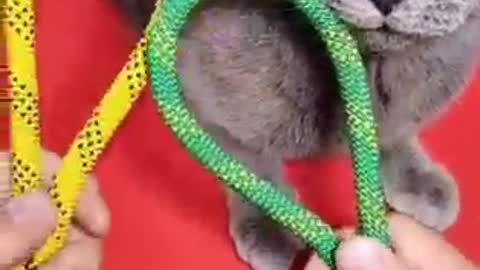 Funny knots
