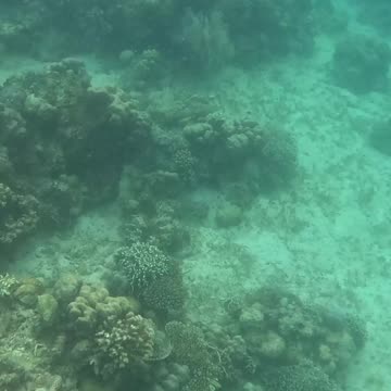 Underwater World #underwaterworld