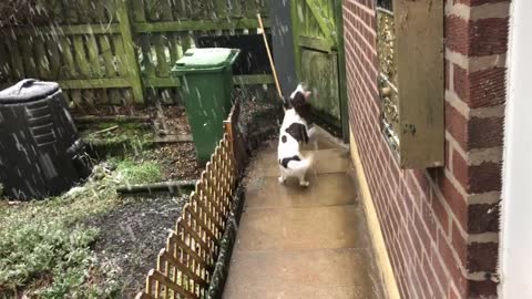 Jerry the springers first snow