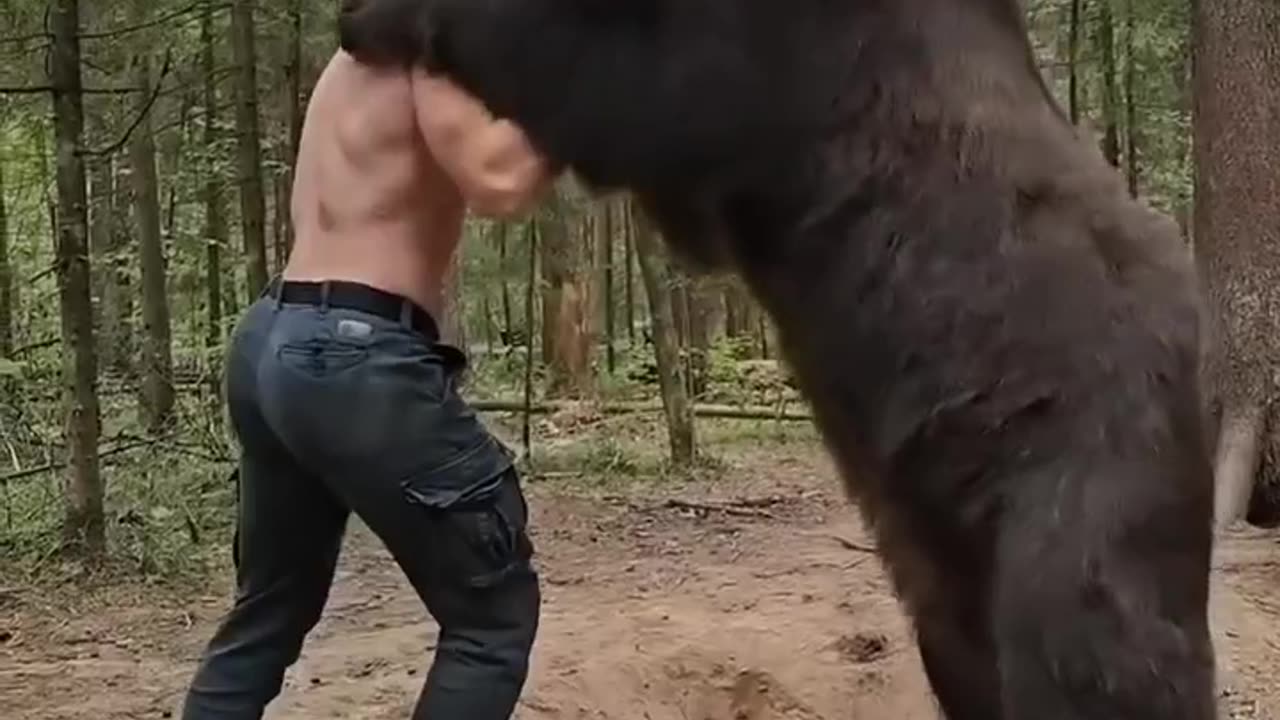 fiting animal/bear with fight a mean oo