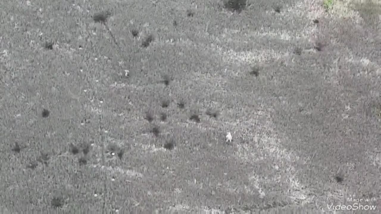 ππΊπ¦ Ukraine Russia War | Russian Soldier Surrender | RCF