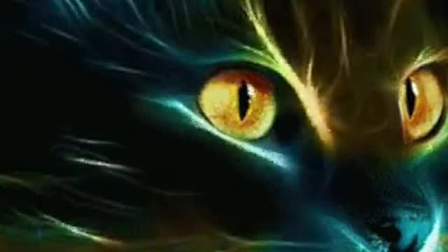 FIRE CAT