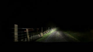 Night driving in Dartmoor. From a campsite..