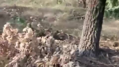 Moving Through What Remains of Russian Trenches Near Krasnolimansky