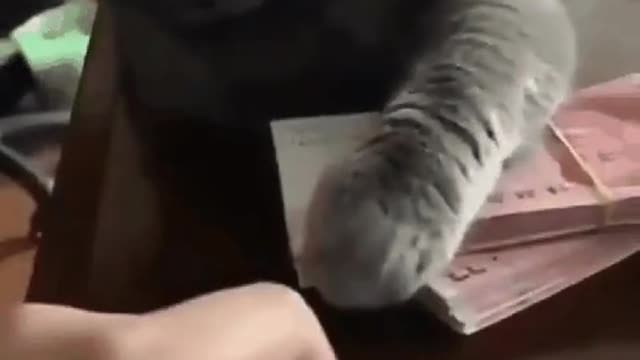It's my money not yours 🤣🤣