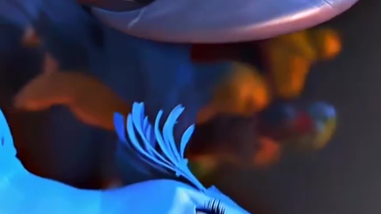 Reel # 03