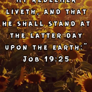 Job 19:25