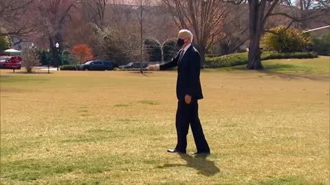 Joe Biden keeps falling up the stairs as he boards Air Force One