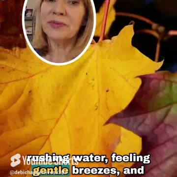 𝗗𝗼𝗻’𝘁 𝗬𝗼𝘂 𝗝𝘂𝘀𝘁 𝗟𝗼𝘃𝗲 𝗙𝗮𝗹𝗹? 🍁 𝗜𝘁'𝘀 𝗮 𝘀𝗲𝗮𝘀𝗼𝗻 𝗳𝗼𝗿 𝙀𝙘𝙤𝙏𝙝𝙚𝙧𝙖𝙥𝙮.🌿