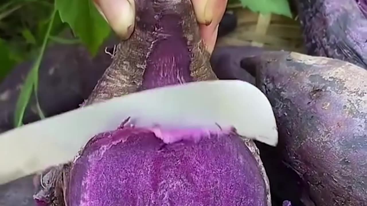 fruits harvesting