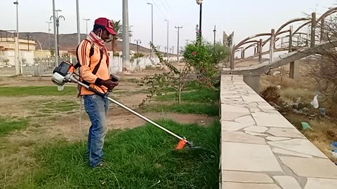 grass cutting | Ksa