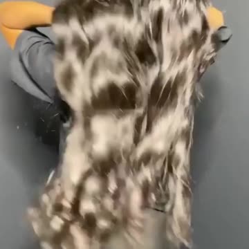 30 40 Inch 13x4 13x6 HD Body Wave Lace Front Wig Pre Plucked Loose Wave Lace Front