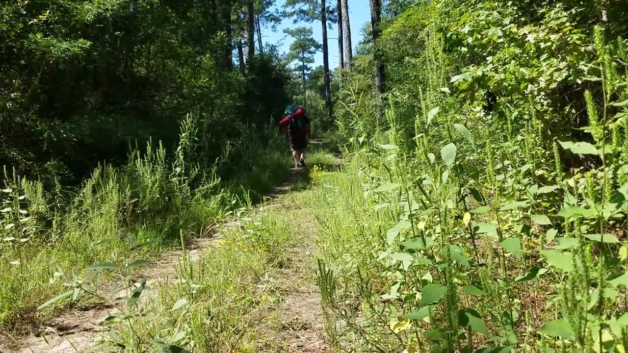 Lone Star Trail Little Lake Creek Loop Trailhead 4