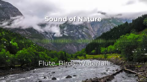 Magic of the Forest: Enchanting Flute, Bird Songs, and Waterfall Sounds
