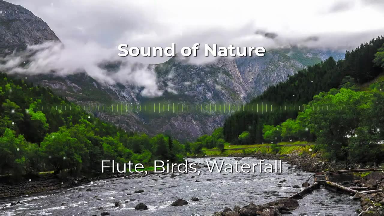 Magic of the Forest: Enchanting Flute, Bird Songs, and Waterfall Sounds