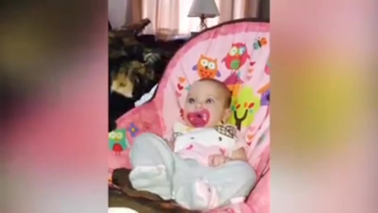 baby and cat fun and fails ,funny baby video