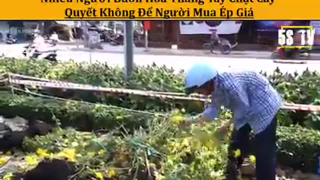 2021 Tân Sửu: Nếu lũ giặc VC không tạo ra bọn đặc quyền đặc lợi