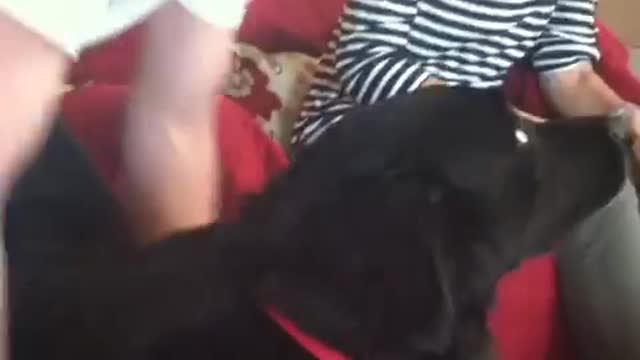 Don't try to hold his paws.