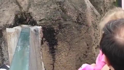 Funny viral latest video clip