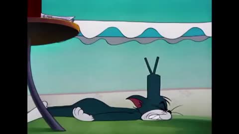 Tom and jerry