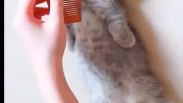 He’s still breathing, no worried