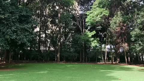 Museu da Casa Brasileira, São Paulo.