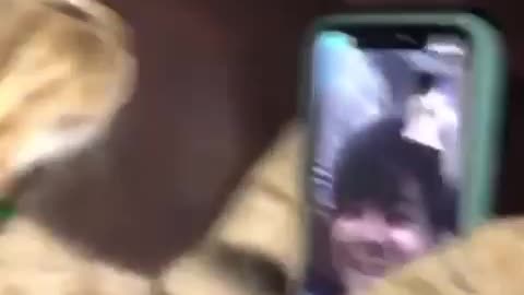 Amazing and Funny Video 2022 | Try To Not Laugh 😂 | cute cat is on video call with his master