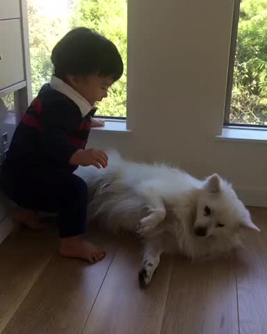 Baby steals dog's favorite spot to relax