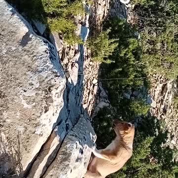 smarte and cute with marcelo lol so funny