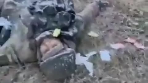 Ukraine Russia War Soliders Dead Body Litter The Battle Field