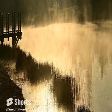 Morning Beauty with Nature and Music #shorts #meditation #relaxing #nature