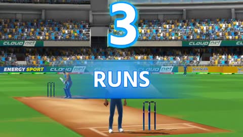 Cricket gameplay