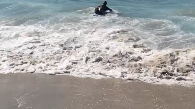 Guy in black wetsuit gets knocked down by wave