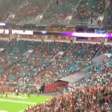 Un chat tombe dans le drapeau des états unis