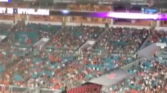 Un chat tombe dans le drapeau des états unis