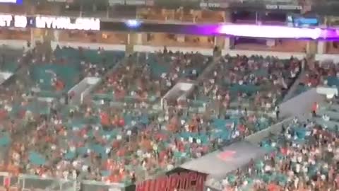 Un chat tombe dans le drapeau des états unis