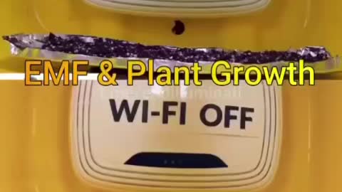 WI-FI DESTRUCTION! PEOPLE AND PLANTS!