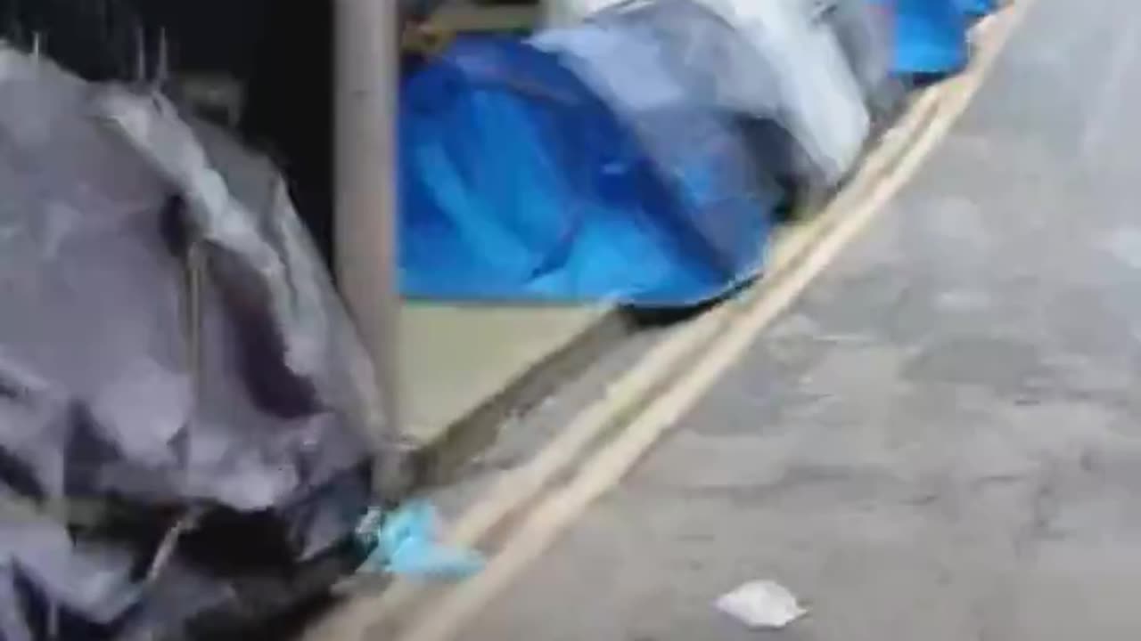 Ireland Is Becoming The EU's Largest Homeless Encampment
